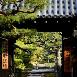 放下攻略当回日本常客 这些小众地可还不错