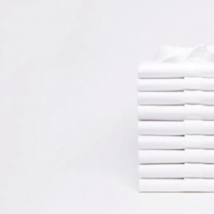 Lacoste 暂时改了绿色鳄鱼logo
