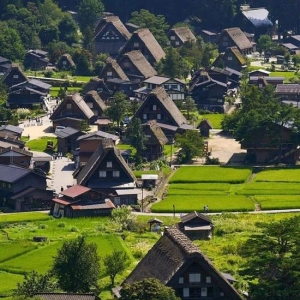 日本这个冷门雪乡美过北海道 还能打卡取景地