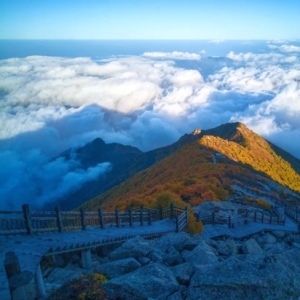 中国水果第一大省竟然是它？夏天水果论筐吃